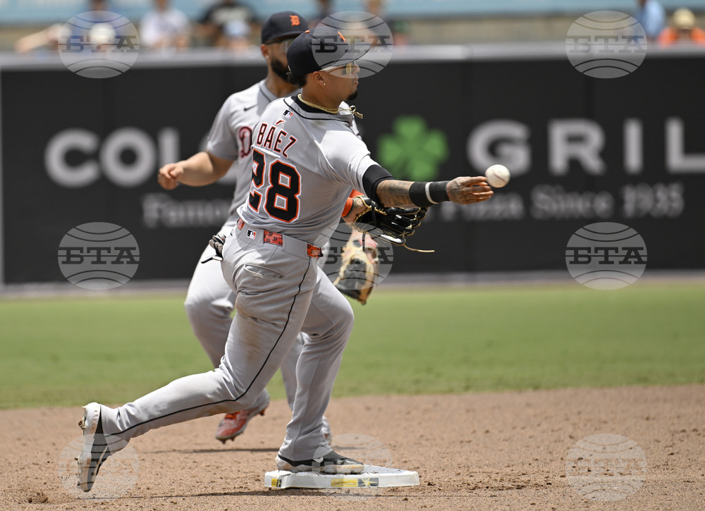 Tigers Rays Baseball