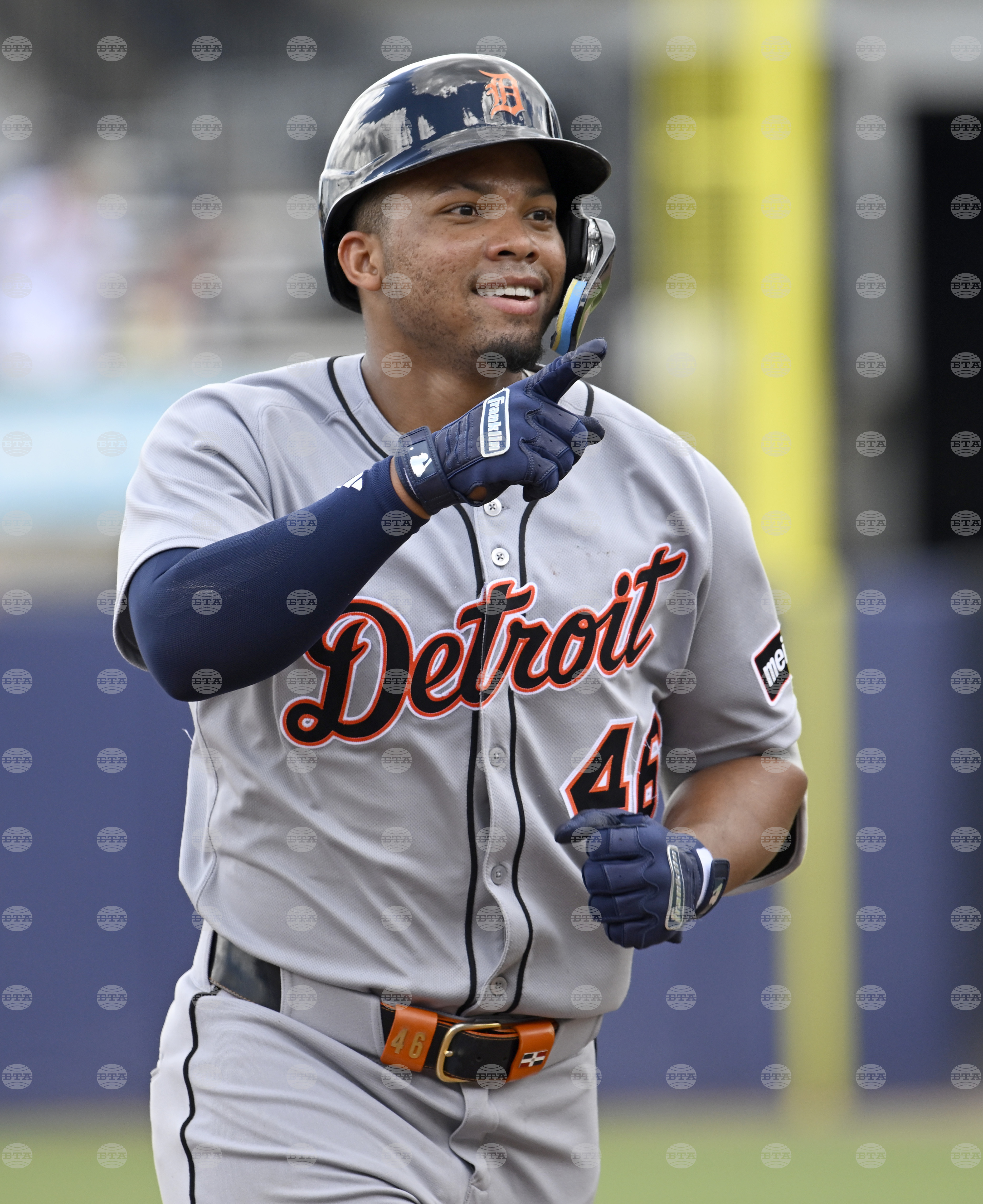 Tigers Rays Baseball