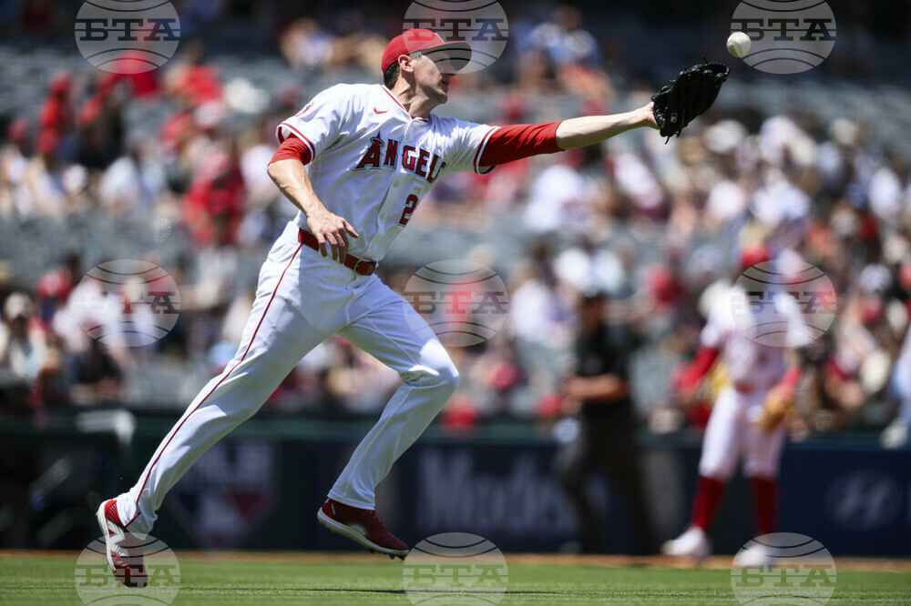 Astros Angels Baseball