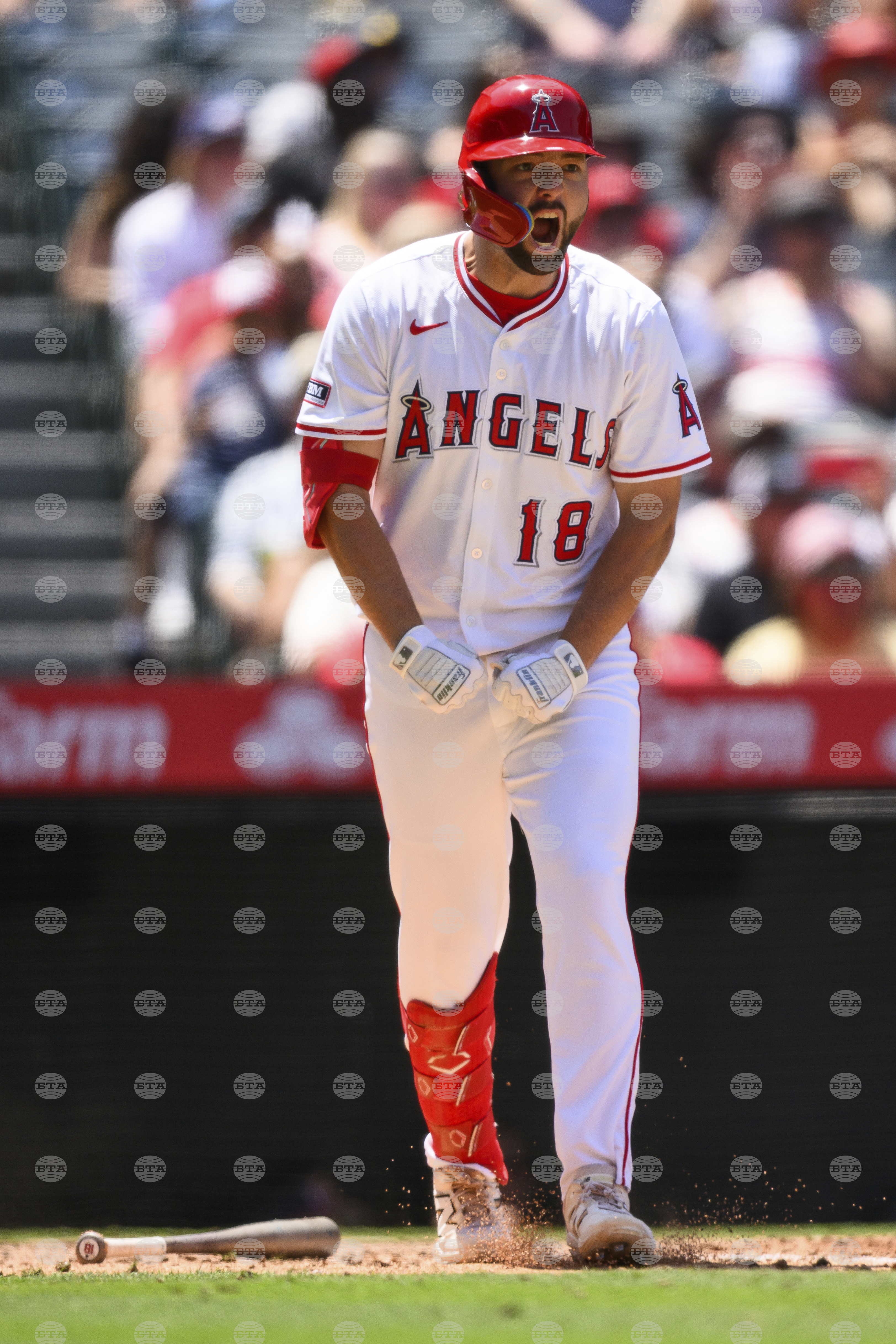 Astros Angels Baseball
