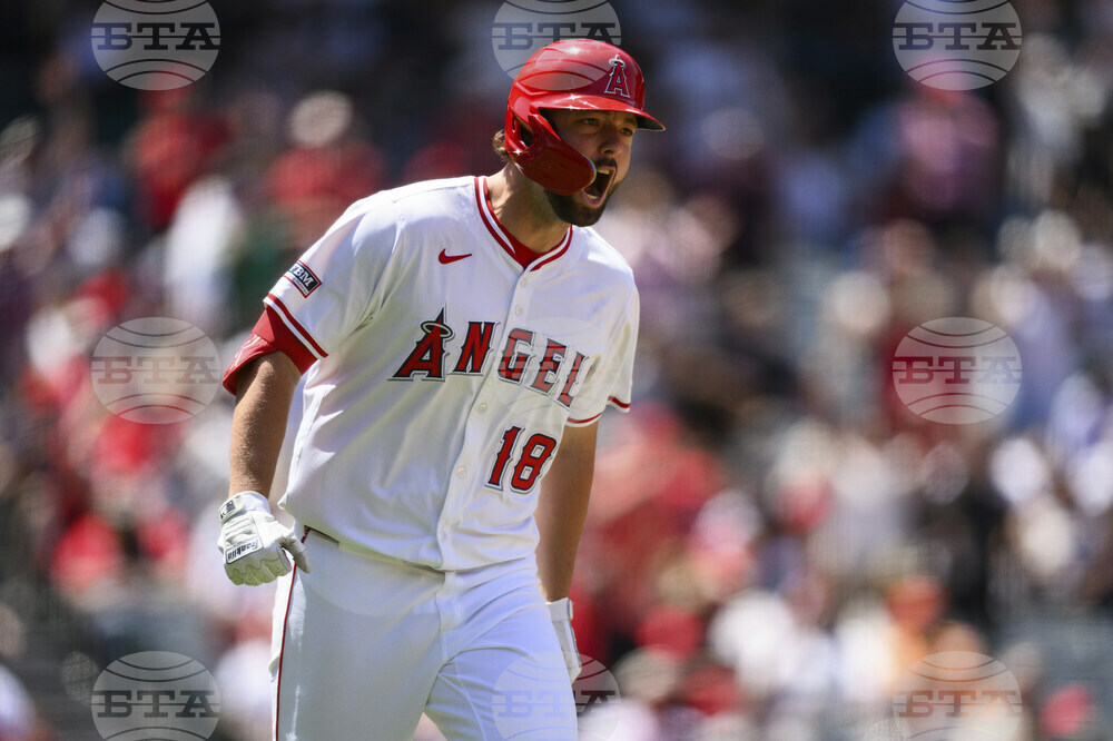 Astros Angels Baseball