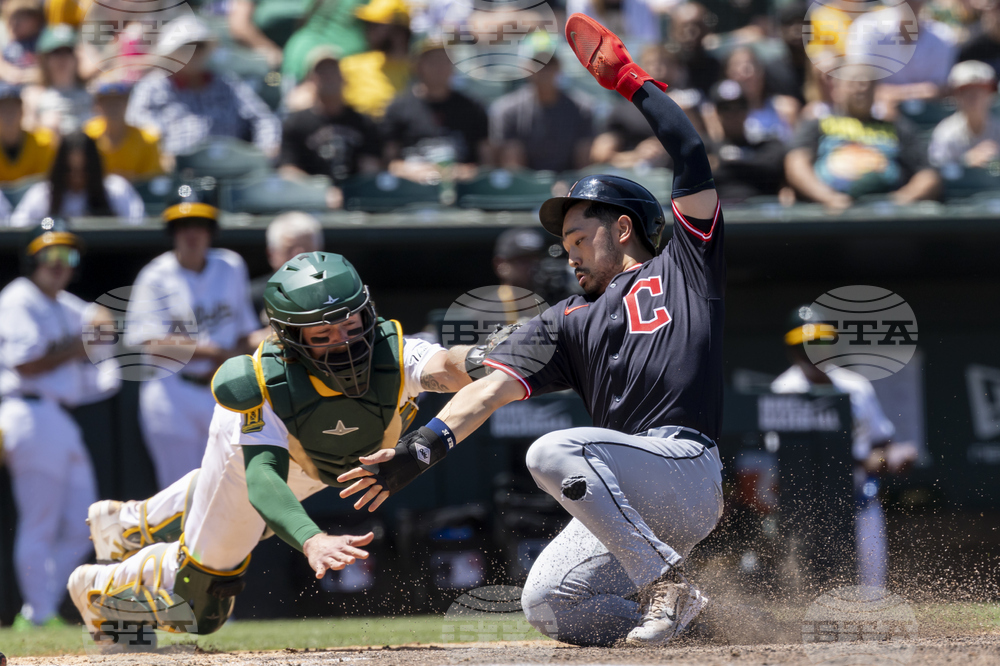 Guardians Athletics Baseball