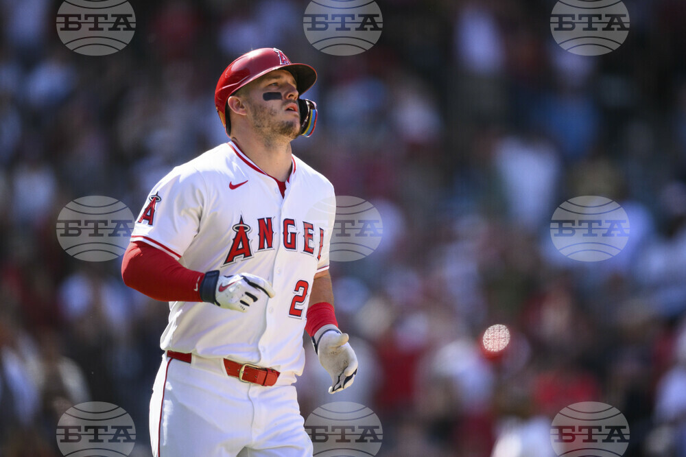 Astros Angels Baseball