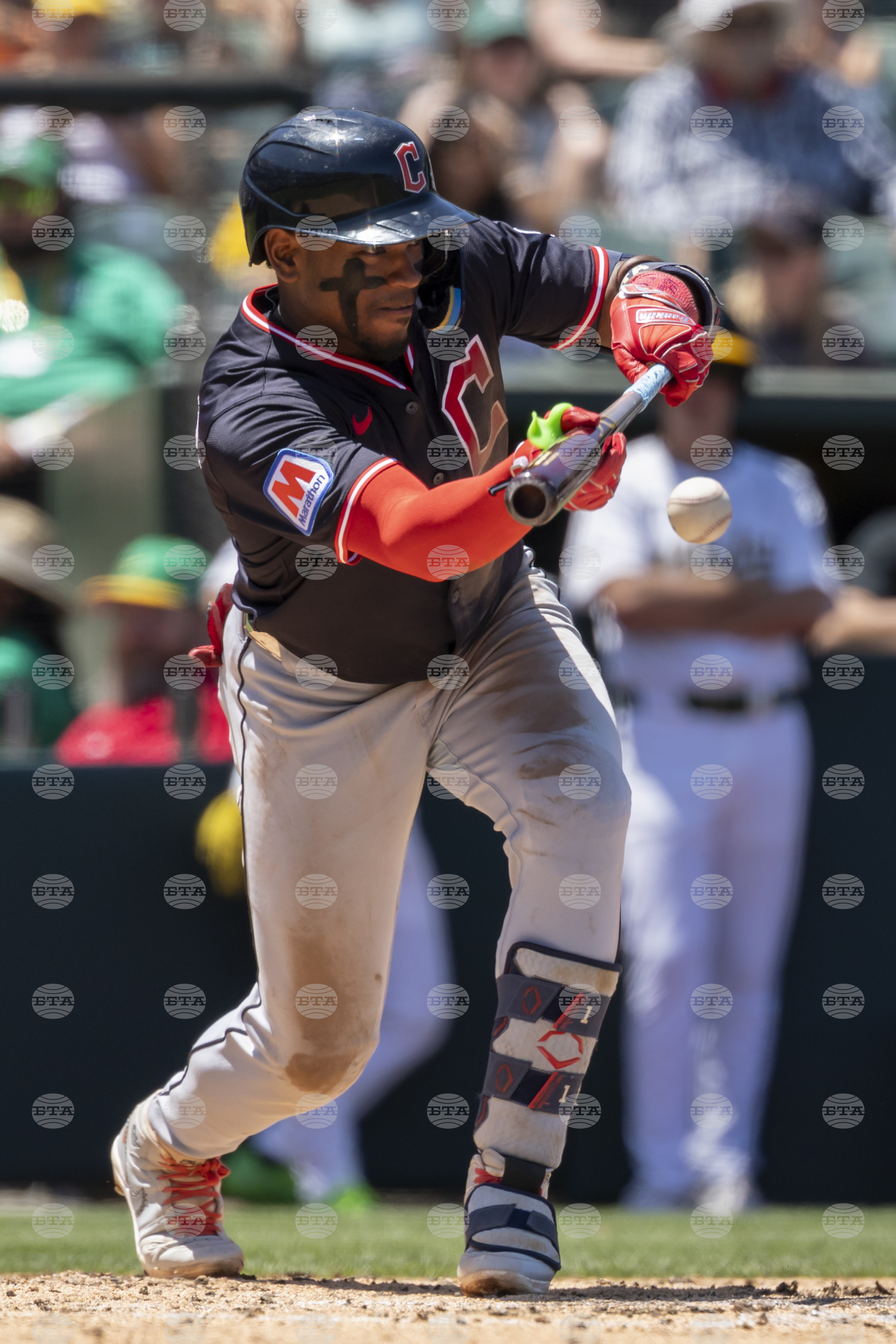 Guardians Athletics Baseball