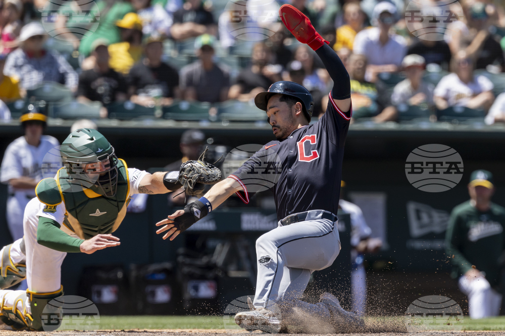 Guardians Athletics Baseball