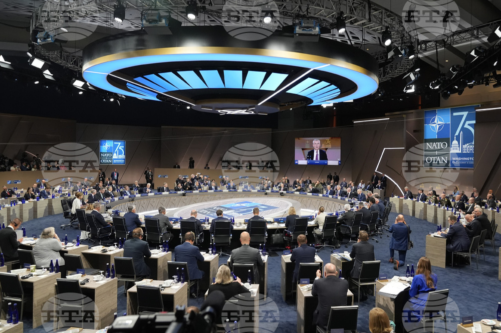 NATO Summit Explainer