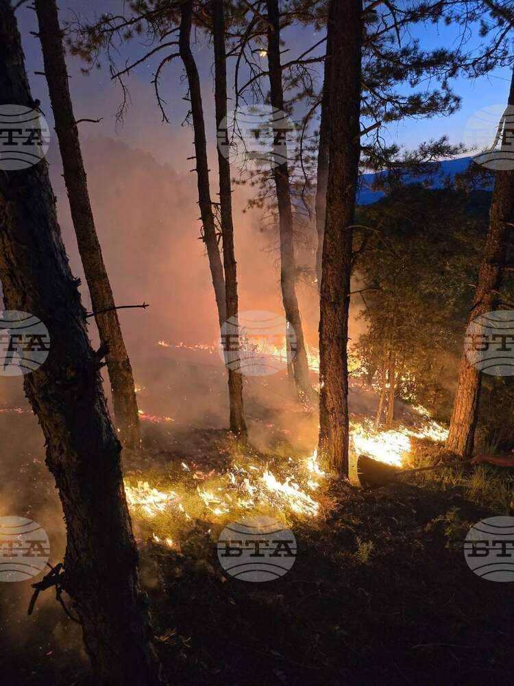 Към момента е овладяно разпространението на пожара край Струмяни, съобщи директорът на горското стопанство Иван Ризов