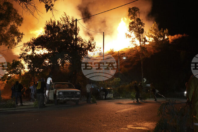 Властите започват оценка на щетите от пожарите на гръцкия остров Хиос, жена е арестувана за палеж