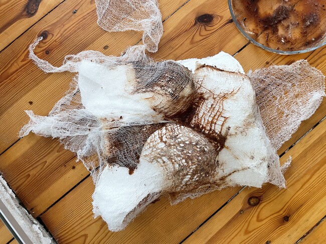 „Грижа и изцеление“ събира шест художнички в столичната галерия „Васка Емануилова“