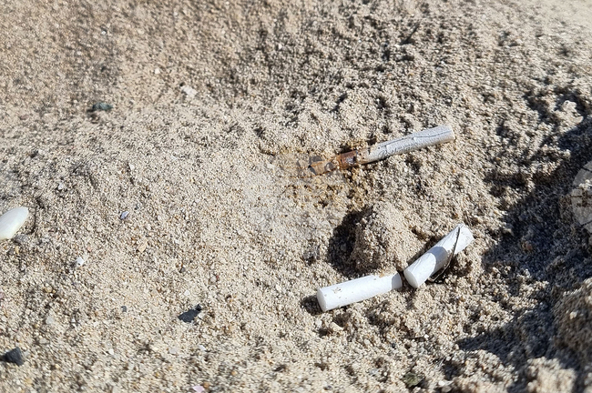 Фасове, пластмасови чаши и мокри кърпи замърсяват плажовете - как да летуваме на по-чисто море?