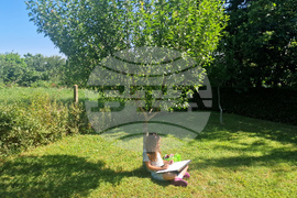 Село Момино - творчески пленер за деца