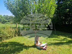 Село Момино - творчески пленер за деца