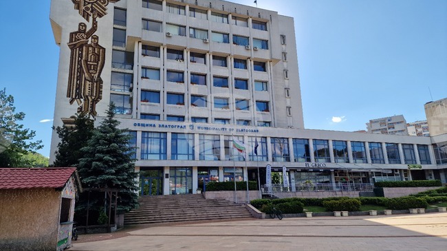 Общинският съвет в Златоград ще обсъди петиция на граждани с настояване за спешни мерки за справяне с проблема с бездомните кучета