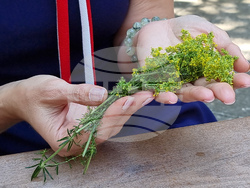 Варна - Музей на медицината - лечебни практики