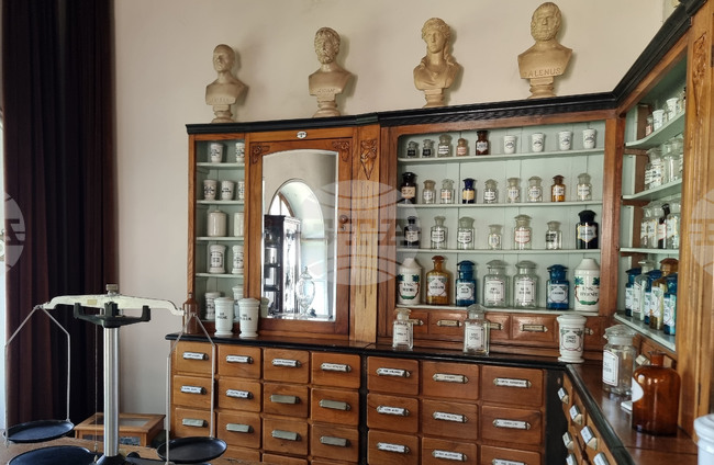 Лечителите по нашите земи са познавали свойствата на билките, но са разчитали също на прилепи и магарешки опашки