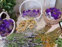 Варна - Музей на медицината - лечебни практики