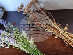 Варна - Музей на медицината - лечебни практики