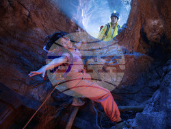 TV-Dora the Explorer-25th Anniversary