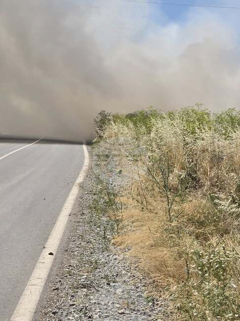 Пожарът в землищата на селата Бело поле и Черно поле е овладян на този етап, съобщи кметът на община Ружинци Александър Александров