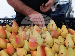 Турция - Анкара - пазар  „Инджесу“