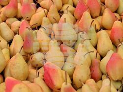 Турция - Анкара - пазар  „Инджесу“