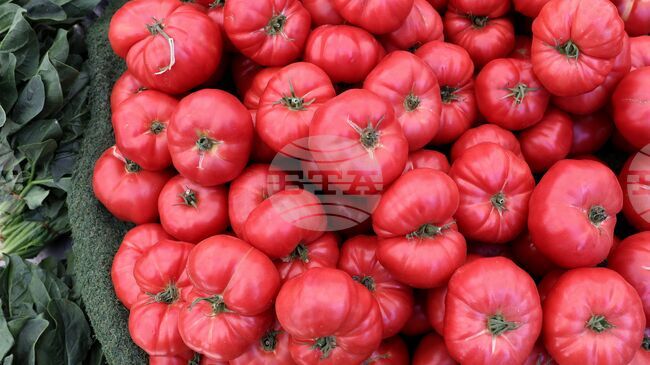 Bulgaria Denies Entry to 370-Plus Tonnes of Food from Non-EU Countries in One Month - Food Safety Agency