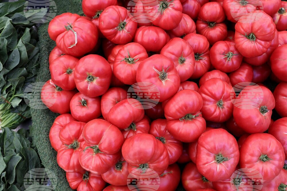 Analysis of Retail Prices in Mid-April Shows Stable Basic Foods, Cheaper Vegetables