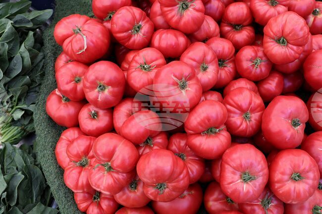 Bulgaria Denies Entry to 370-Plus Tonnes of Food from Non-EU Countries in One Month - Food Safety Agency