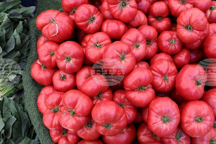 Analysis of Retail Prices in Mid-April Shows Stable Basic Foods, Cheaper Vegetables