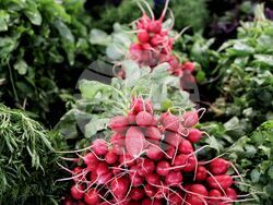 Турция - Анкара - пазар  „Инджесу“