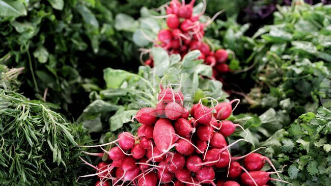 Fruit and Vegetable Branch Chamber Warns Against Passing Only Partial Amendment to Agricultural Producers Support Act