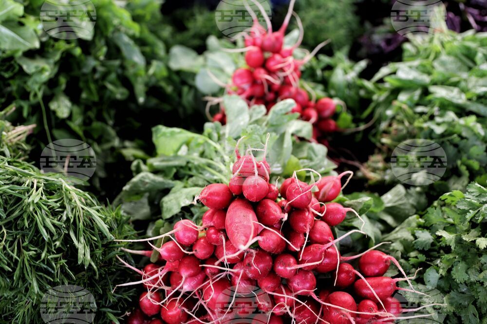 Fruit and Vegetable Branch Chamber Warns Against Passing Only Partial Amendment to Agricultural Producers Support Act