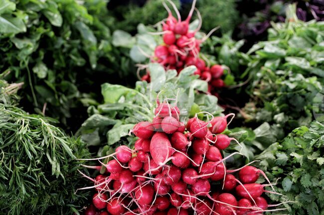 Fruit and Vegetable Branch Chamber Warns Against Passing Only Partial Amendment to Agricultural Producers Support Act