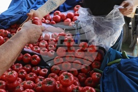 Турция - Анкара - пазар  „Инджесу“