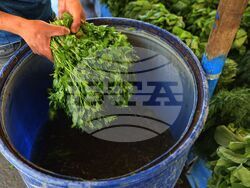 Турция - Анкара - пазар  „Инджесу“