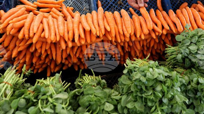 Скок в износа на зеленчуци и плодове за Русия заради кризата в Близкия изток отчитат производители от Турция 