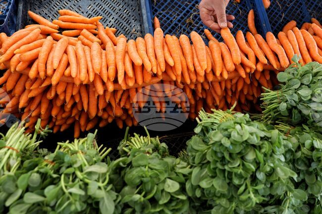 Скок в износа на зеленчуци и плодове за Русия заради кризата в Близкия изток отчитат производители от Турция 