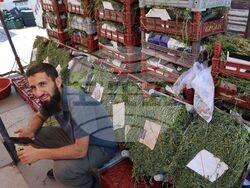 Турция - Анкара - пазар  „Инджесу“