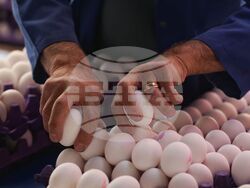 Турция - Анкара - пазар  „Инджесу“