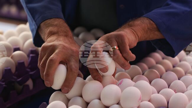 Яйца без маркировка и произход са иззети преди броени дни край Перник 