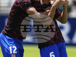 CWC Atletico Madrid Botafogo Soccer