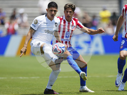 CWC Atletico Madrid Botafogo Soccer
