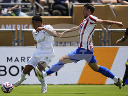 CWC Atletico Madrid Botafogo Soccer