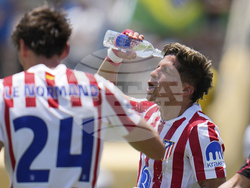CWC Atletico Madrid Botafogo Soccer