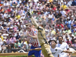 CWC Atletico Madrid Botafogo Soccer