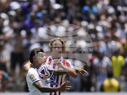 CWC Atletico Madrid Botafogo Soccer