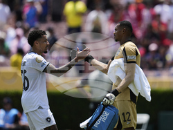CWC Atletico Madrid Botafogo Soccer