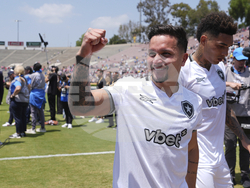 CWC Atletico Madrid Botafogo Soccer
