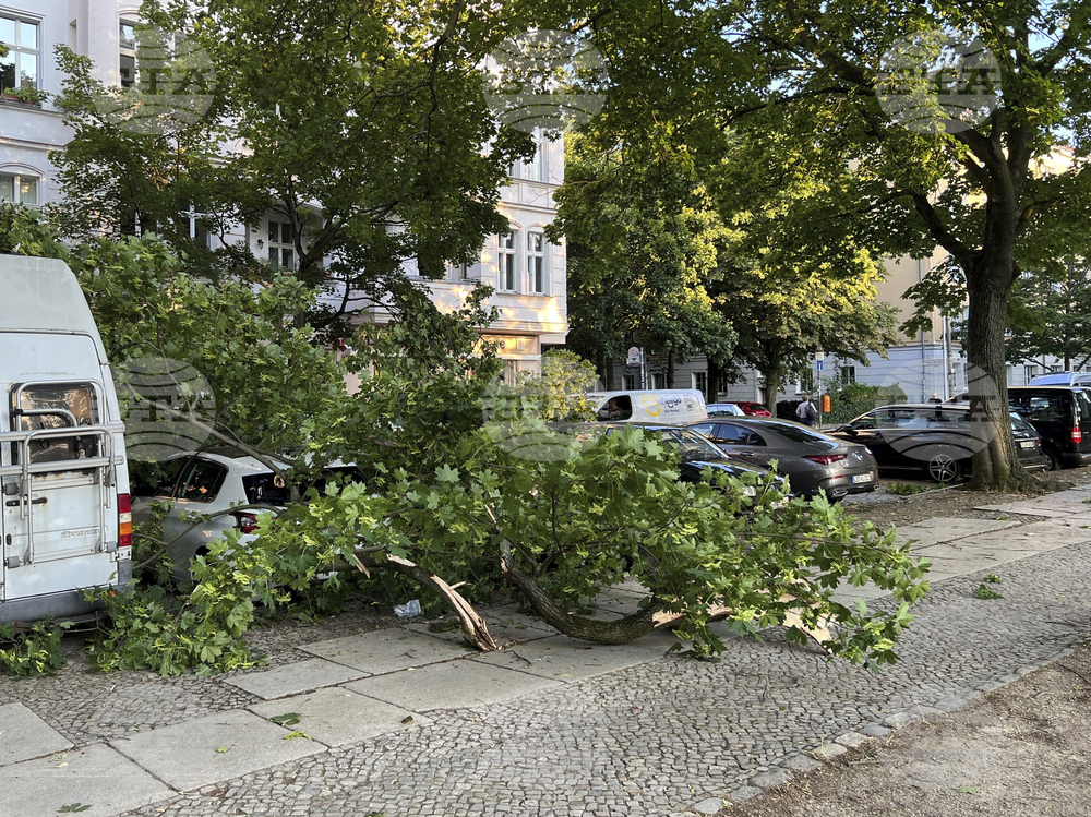 Germany Weather