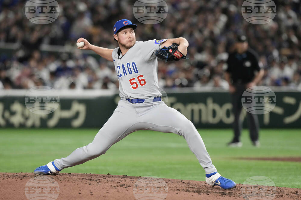 Cubs Fulmer Baseball